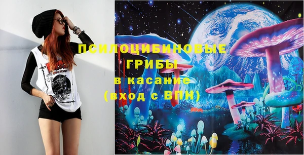 ПСИЛОЦИБИНОВЫЕ ГРИБЫ Алексин