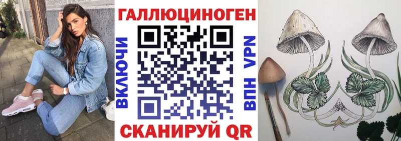 Псилоцибиновые грибы MAGIC MUSHROOMS  Петрозаводск 