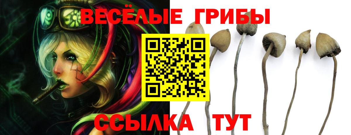 Галлюциногенные грибы GOLDEN TEACHER Петрозаводск